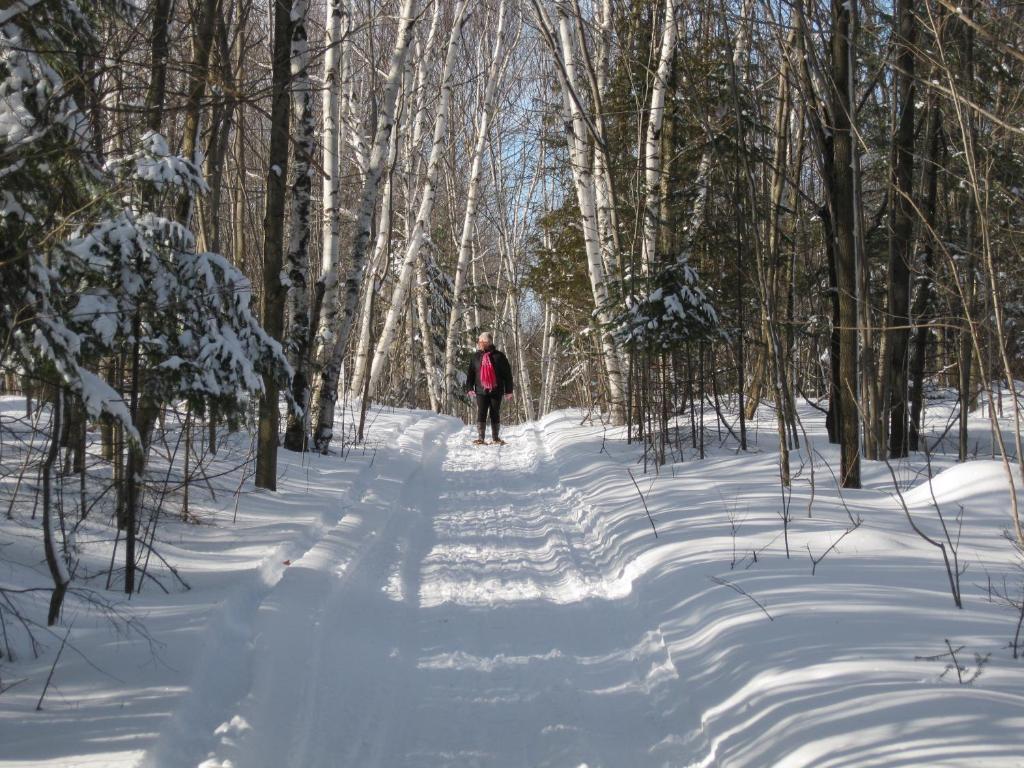 Heather Lodge Minden Екстер'єр фото